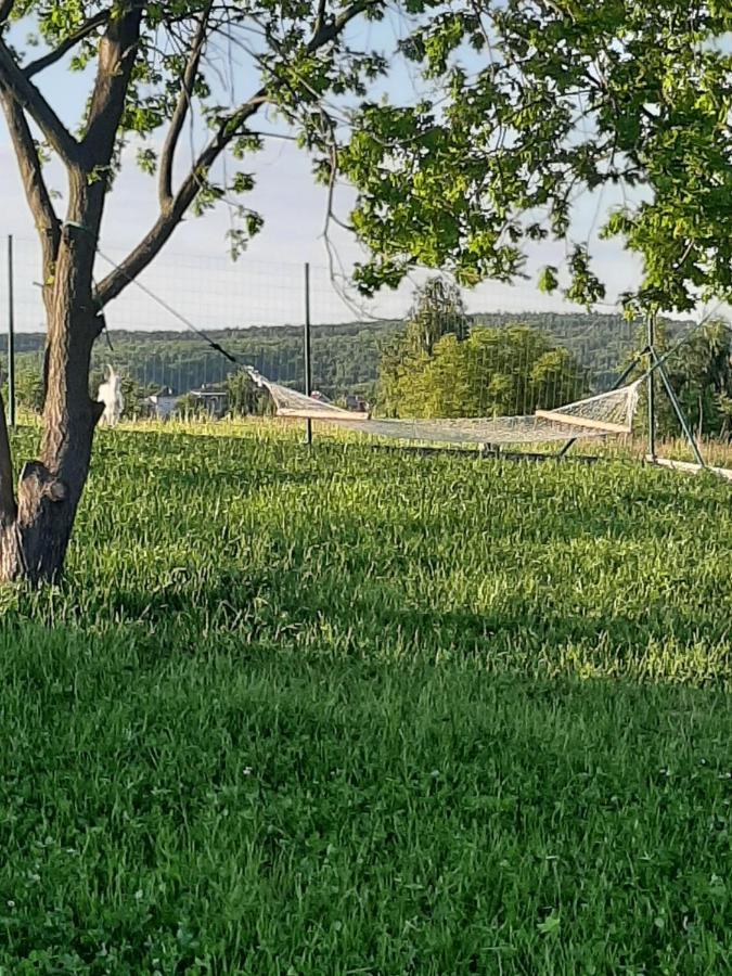 Villa Gosp. Agroturystyczne Stary Gaj Zerkowice Exterior foto