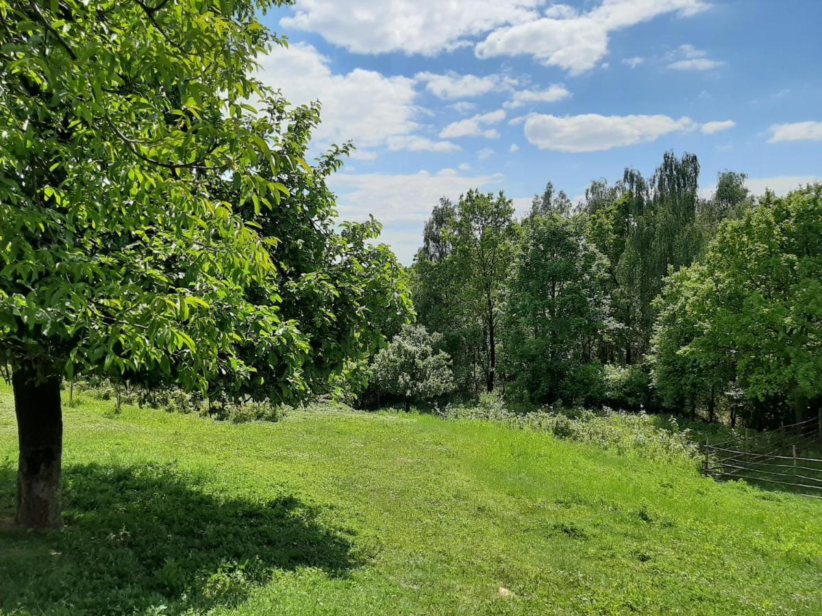 Villa Gosp. Agroturystyczne Stary Gaj Zerkowice Exterior foto