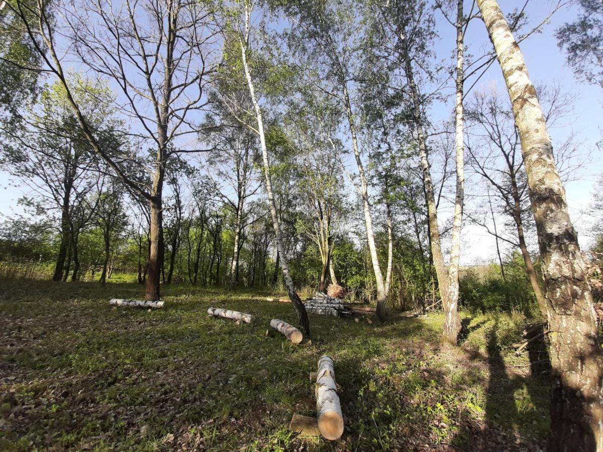 Villa Gosp. Agroturystyczne Stary Gaj Zerkowice Exterior foto