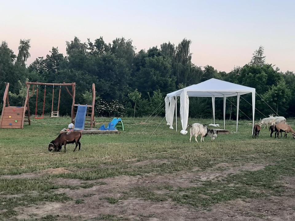 Villa Gosp. Agroturystyczne Stary Gaj Zerkowice Exterior foto